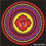 czakra-colorvelvet-muladhara