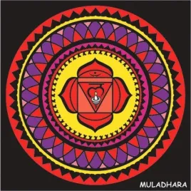 czakra-colorvelvet-muladhara