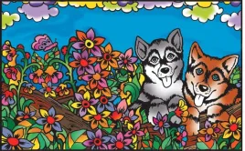 folder-teczka-colorvelvet-pieski