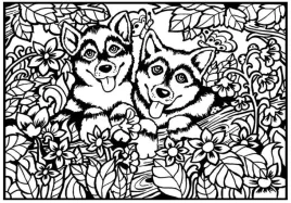 kolorowanka-welwetowa-a4-pieski