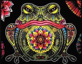 kolorowanka-welwetowa-47x35-zaba