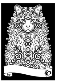 kolorowanka-welwetowa-a4-kot-norweski