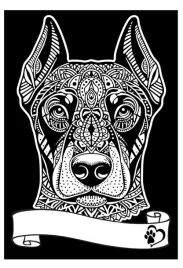 kolorowanka-welwetowa-a4-doberman