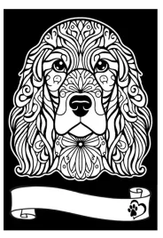 kolorowanka-welwetowa-a4-cocker-spaniel