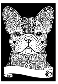 kolorowanka-welw-a4-buldog-francuski