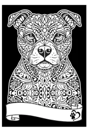 kolorowanka-welwetowa-a4-pitbul