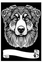 kolorow-welw-a4-owczarek-australijski