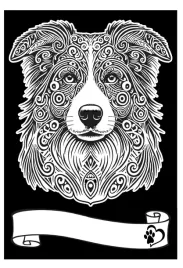 kolorowanka-welwetowa-a4-border-collie