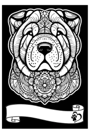 kolorowanka-welwetowa-a4-shar-pei