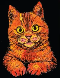 kolorowanka-welw-47x35-kot-domowy