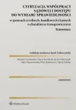 cyfryzacja-wspolpracy-sadowej-i-dostepu-do
