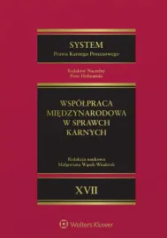 system-prawa-karnego-procesowego-t-17