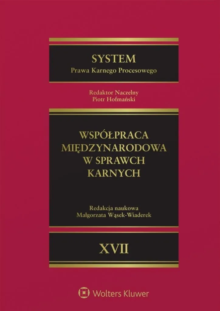 system-prawa-karnego-procesowego-t-17