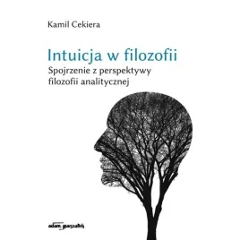 intuicja-w-filozofii-spojrzenie-z-perspektywy
