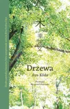 drzewa-aya-kda