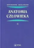 anatomia-czlowieka-t-2