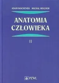 anatomia-czlowieka-t-2