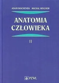 anatomia-czlowieka-t-2