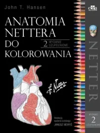 anatomia-nettera-do-kolorowania-w-2-uzupelnione