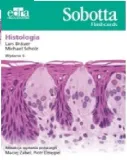 sobotta-flashcards-histologia