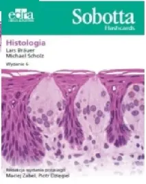 sobotta-flashcards-histologia