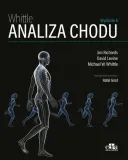 analiza-chodu-michael-w-whittle