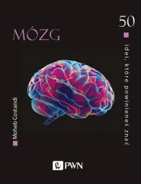 50-idei-ktore-powinienes-znac-mozg