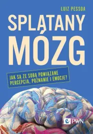 splatany-mozg-jak-sa-ze-soba-powiazane-percepcja