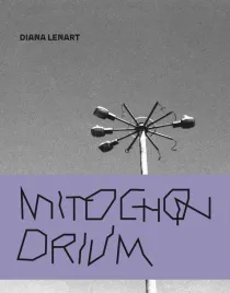 mitochonrdium-diana-lenart