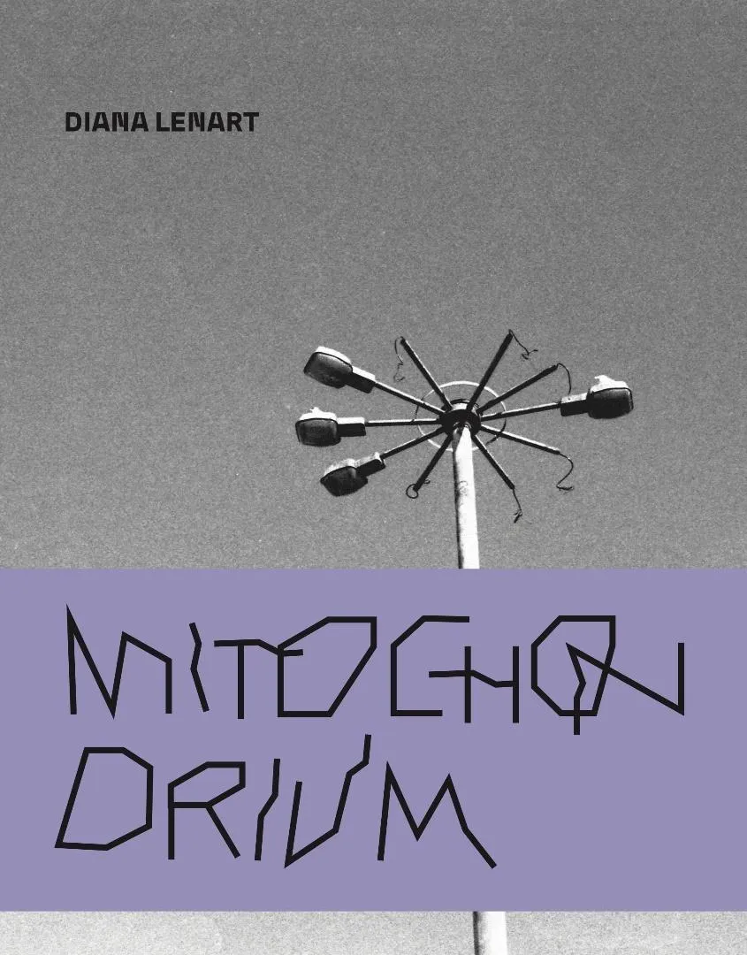 mitochonrdium-diana-lenart