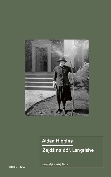 zejdz-na-dol-langrishe-aidan-higgins