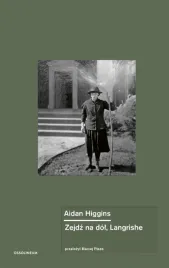 zejdz-na-dol-langrishe-aidan-higgins