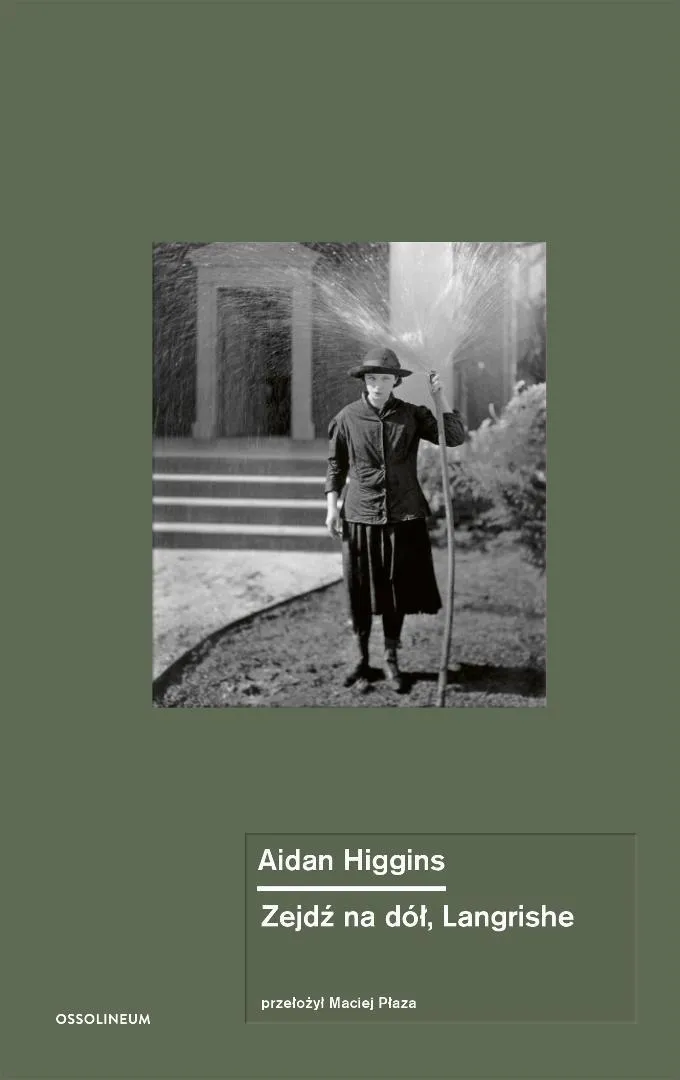 zejdz-na-dol-langrishe-aidan-higgins