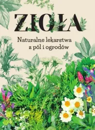 ziola-naturalne-lekarstwa-z-pol-i-ogrodow