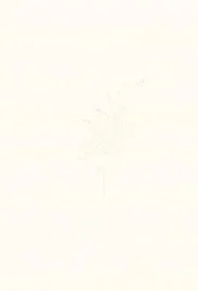 kalcyt-aleksandra-byrska