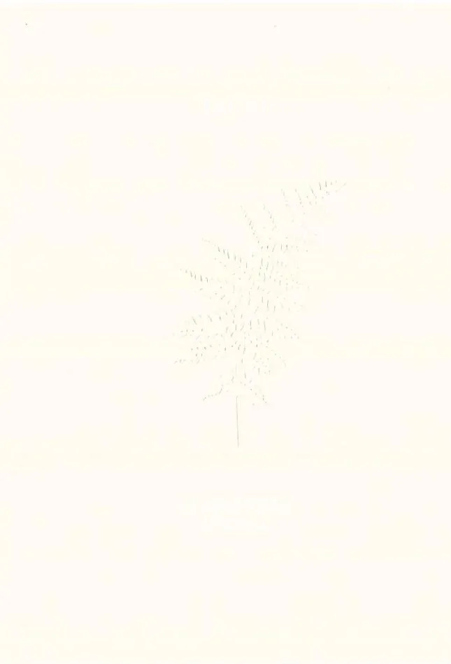 kalcyt-aleksandra-byrska