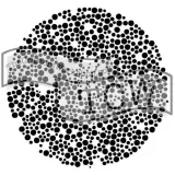 szablon-mikroby-305-cm