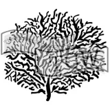 szablon-mini-koral-152-cm