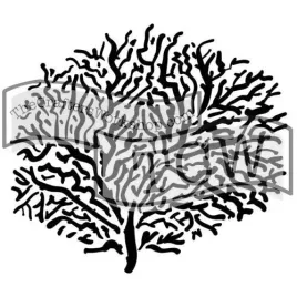 szablon-mini-koral-152-cm