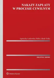 nakazy-zaplaty-w-procesie-cywilnym
