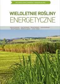 teo-wieloletnie-rosliny-energetyczne