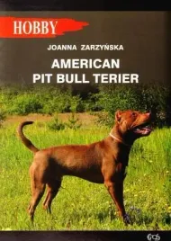 american-pit-bull-terier-joanna-zarzynska