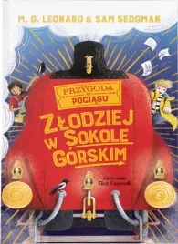 zlodziej-w-sokole-gorskim