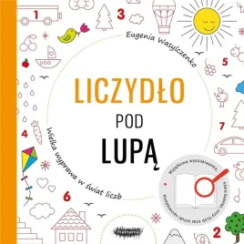 wielka-wyprawa-w-swiat-liczb-liczydlo-pod-lupa