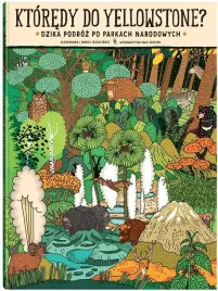 ktoredy-do-yellowstone