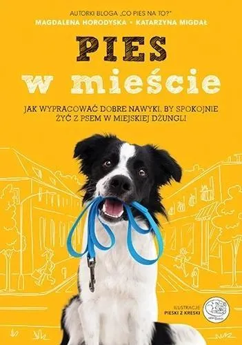 pies-w-miescie
