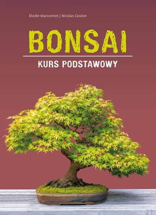 bonsai-kurs-podstawowy