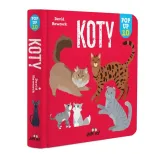 koty-pop-up-10-david-hawcock