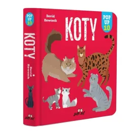 koty-pop-up-10-david-hawcock
