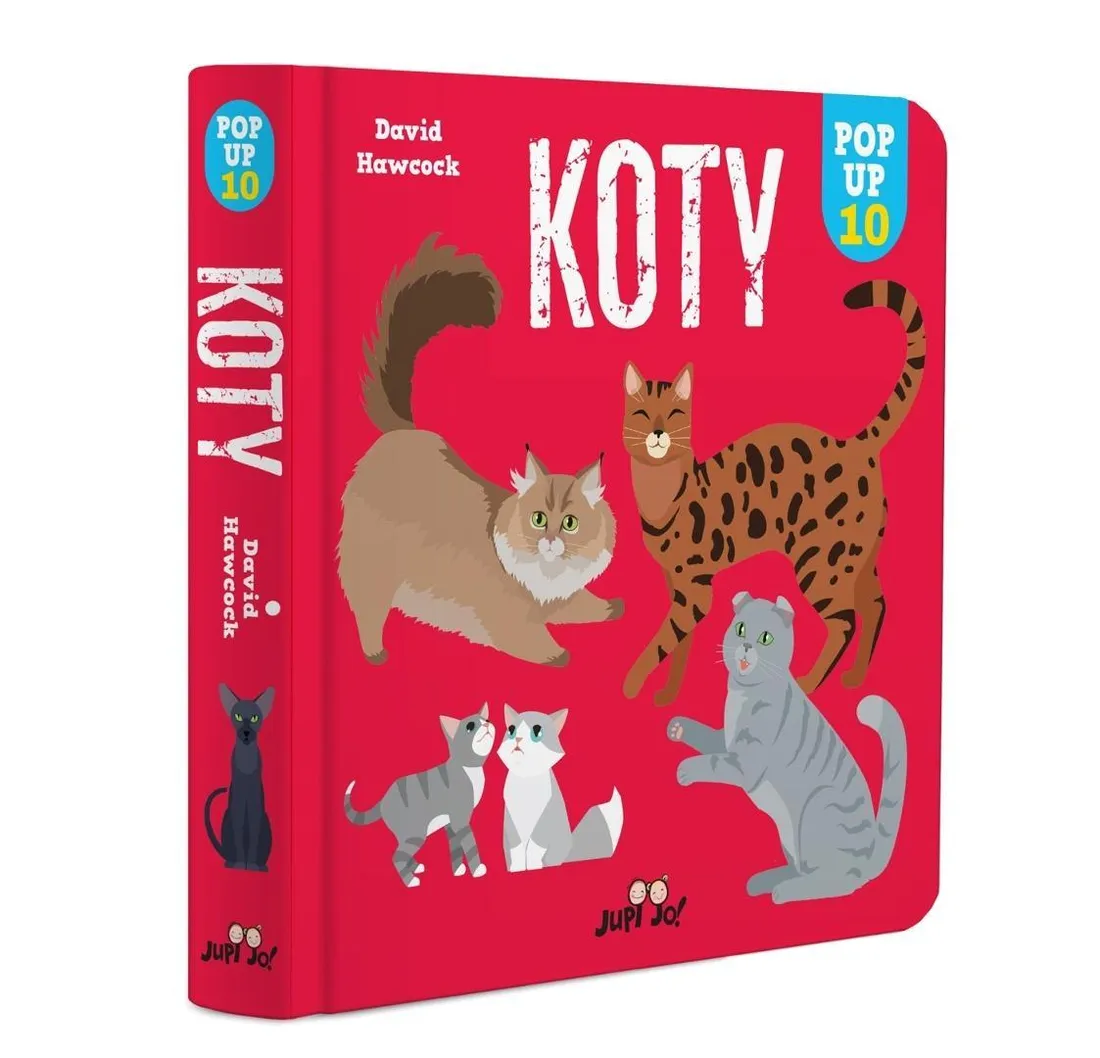 koty-pop-up-10-david-hawcock